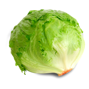 Lechuga Escarola Unidad